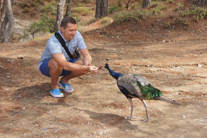 rhodes-self-drive-4x4-wilderness-expedition-and-lavish-lunch
