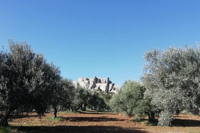 saint-remy-les-baux-and-pont-du-gard-small-group-day-trip