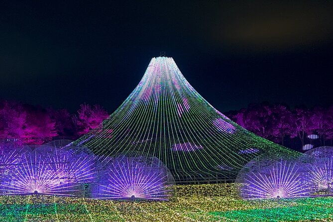 sakura-magic-and-nabana-no-sato-day-tour-from-osaka