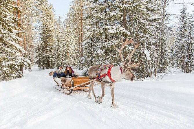 santas-reindeer-husky-safari-santas-pets-aurora-hunt