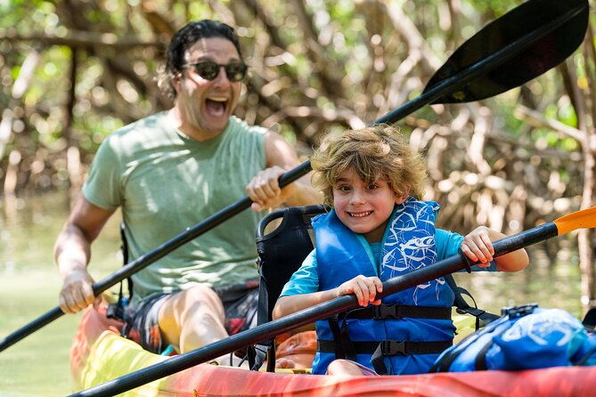 sarasota-mangrove-tunnel-guided-kayak-adventure