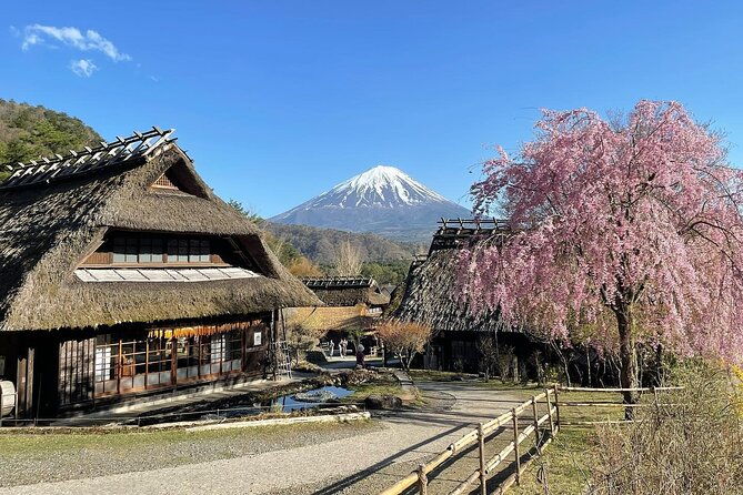 scenic-spots-of-mount-fuji-full-day-sightseeing-tour-from-tokyo