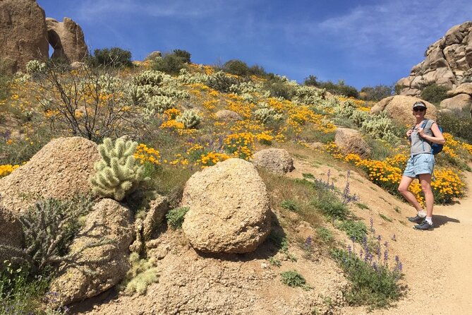 scottsdale-desert-classic-guided-hiking-adventure