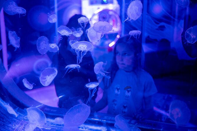 sea-life-birmingham-admission-ticket