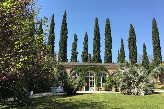 small-group-half-day-chateaux-of-montpellier-wine-tour