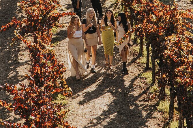 small-group-ultimate-napa-sonoma-wine-tour-from-san-francisco
