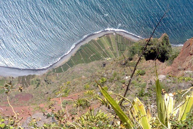 small-group-west-tour-waterfalls-fanal-forest-tour