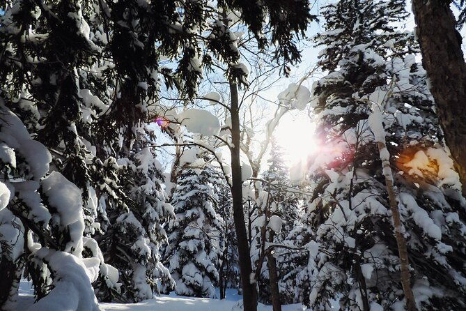 snowshoe-adventures-and-onsen-bliss-winter-escape-in-furano