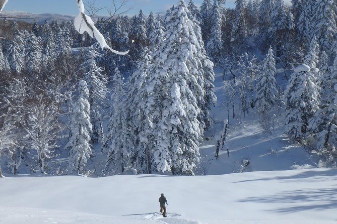 snowshoe-hike-tour-from-sapporo