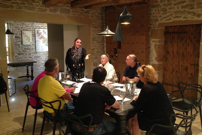 southern-burgundy-wine-tour-full-day-shared-tour-from-lyon