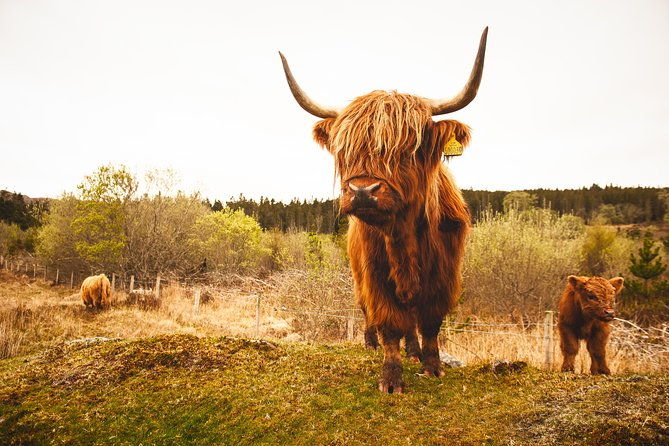 speyside-whisky-day-tour-from-inverness-including-admissions