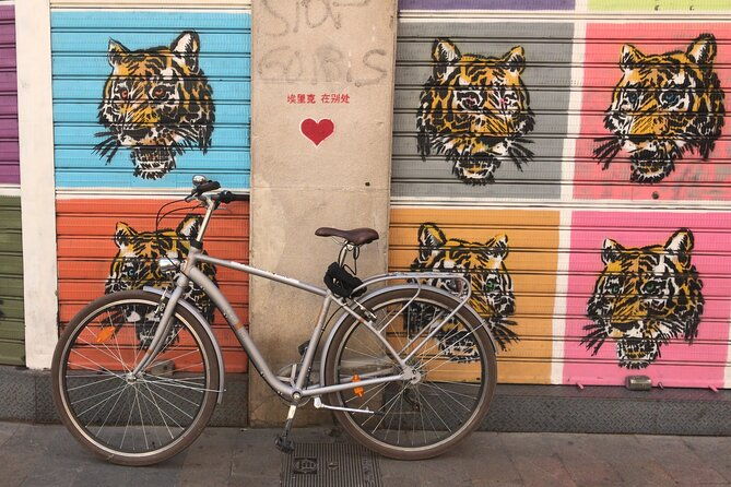 street-art-private-guided-tour-on-bike-e-bike-e-step-or-segway