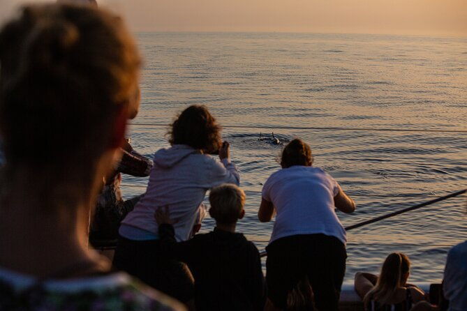 sunrise-boat-trip-in-mallorca-with-dolphin-watching