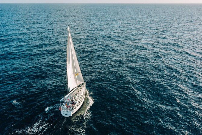 tenerife-3-hour-discover-whales-and-dolphins