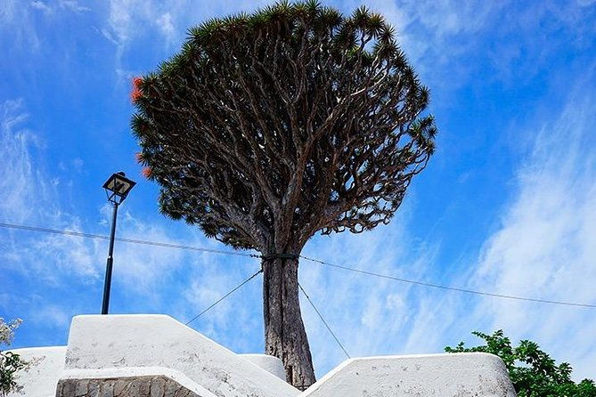 tenerife-highlights-full-day-tour