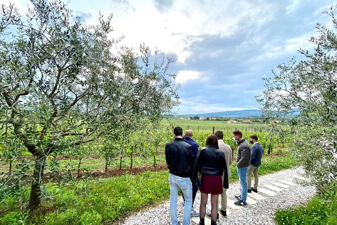 the-grand-tour-of-valpolicella-2-wineries-lunch-amarone-focus