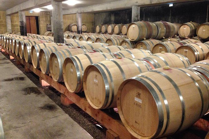 the-original-syrah-wine-tour-200-pm-630-pm-small-group-tour-from-lyon