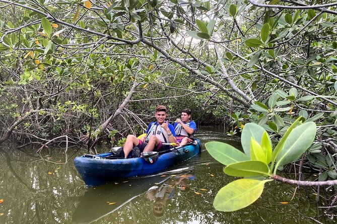 thousand-islands-mangrove-tunnel-sunset-kayak-tour-with-cocoa-kayaking