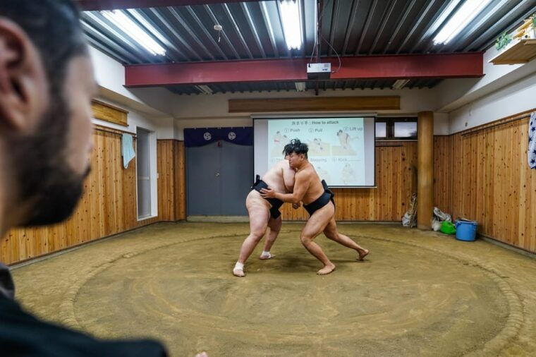 tokyo-authentic-sumo-wrestling-experience-with-lunch