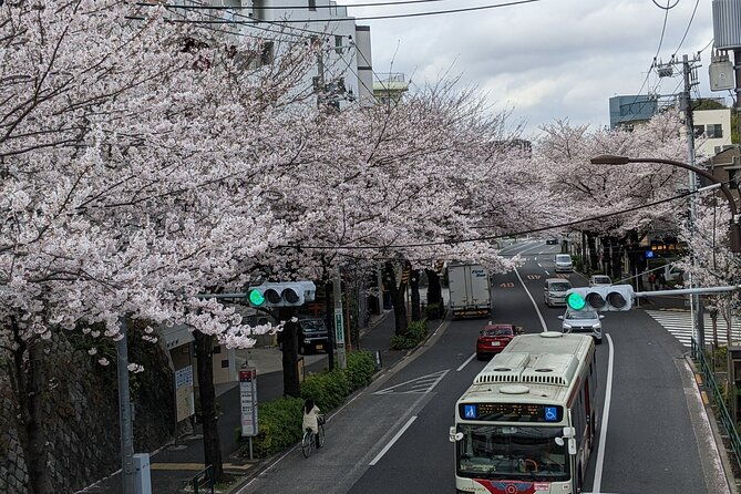 tokyo-experience-food-cycling-local-life-tour