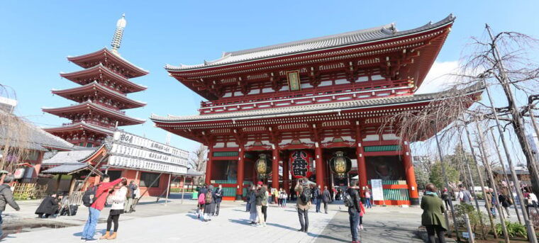 tokyo-private-city-highlights-tour-with-local-guide