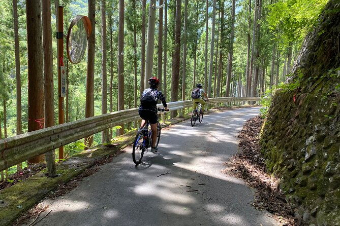 tokyos-hidden-nature-cycling-tour-okutama-historical-road-tour