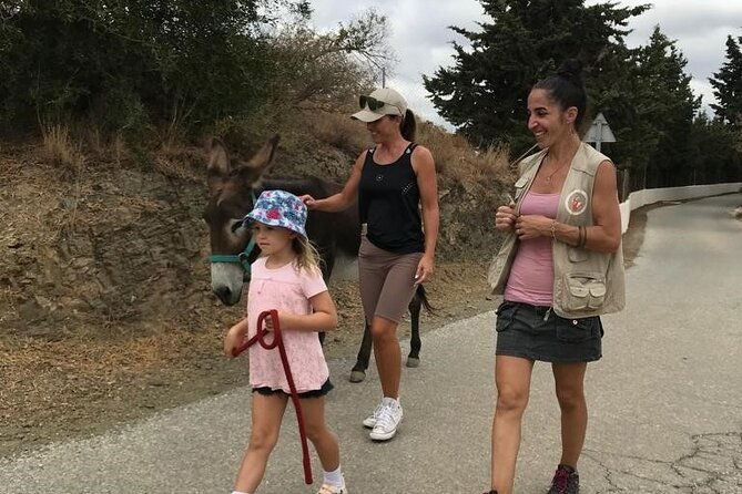 tour-the-sanctuary-and-walk-with-the-donkeys-and-share-their-love
