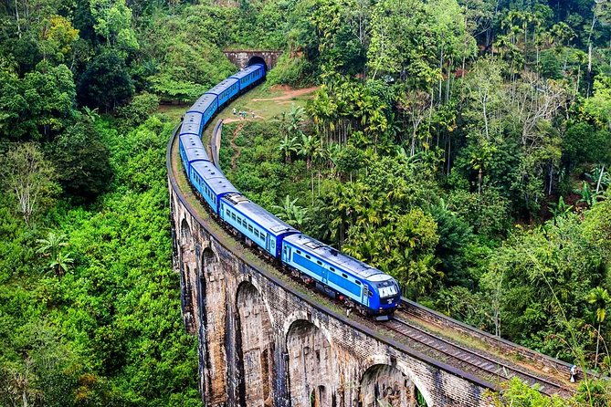 train-experience-through-the-alps-full-day