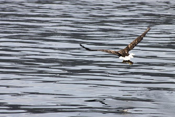 tromso-all-inclusive-polar-fjord-fishing-cruise