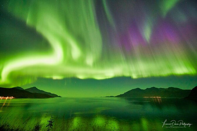 tromso-private-aurora-chase-by-minivan