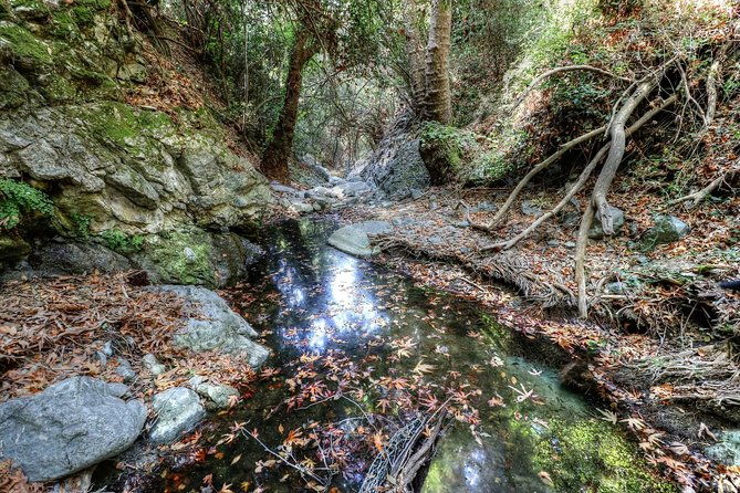 troodos-jeep-safari-from-protarasayia-napa-larnaca