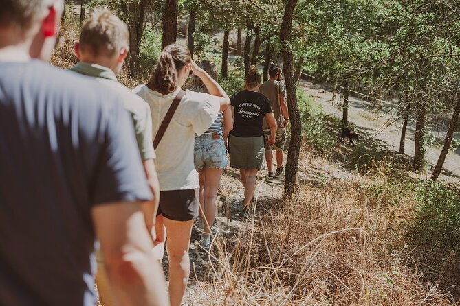 truffle-hunt-in-tuscany