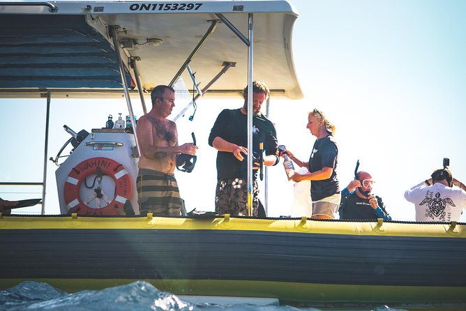 ultimate-4-hour-lanai-snorkel-and-dolphin-encounter