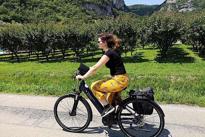 unesco-palladian-villas-in-vicenza-e-bike-private-tour-with-picnic-and-aperitif