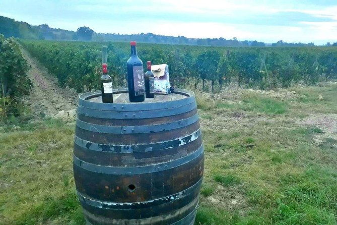 vespa-tour-with-lunchchianti-winery-from-siena