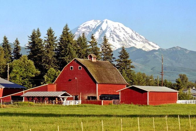 viator-exclusive-day-tour-from-seattle-to-mt-rainier