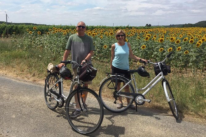 vineyard-cycle-tours-in-and-around-chinon-in-the-loire-valley
