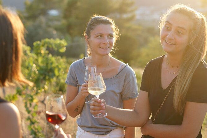 vineyard-tour-with-wine-tasting-within-nice-city-borders