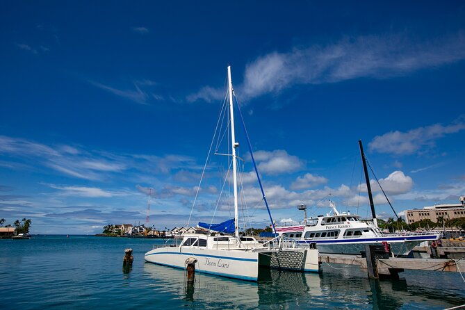 waikiki-catamaran-adventure-snorkel-with-sea-turtles