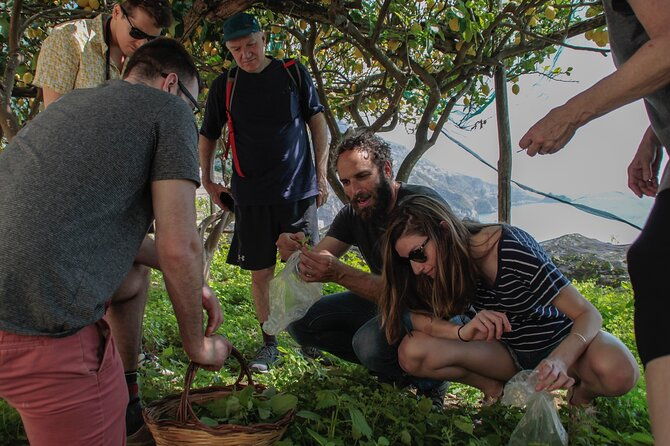 walk-cook-and-eat-on-the-amalfi-coast