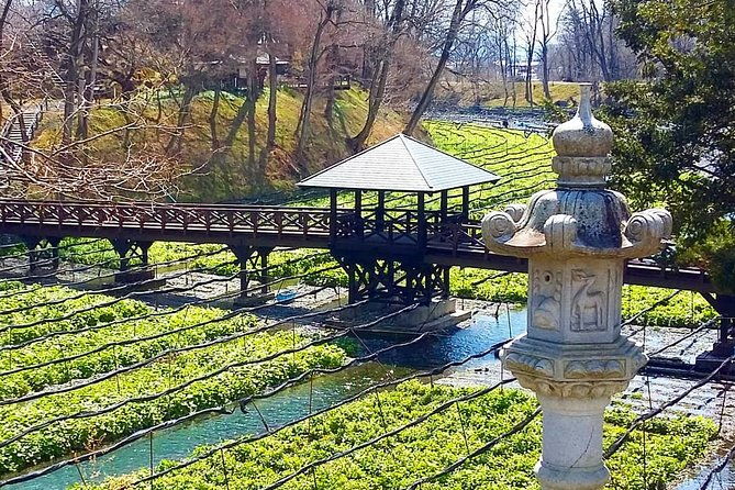 wasabi-farm-walking-tour-lunch