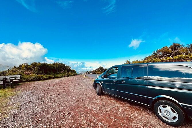 west-madeira-island-guided-tour-fanal-mystic-forest