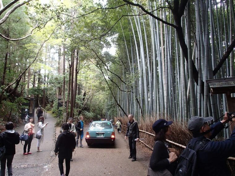 western-kyoto-walking-tour-with-local-guide