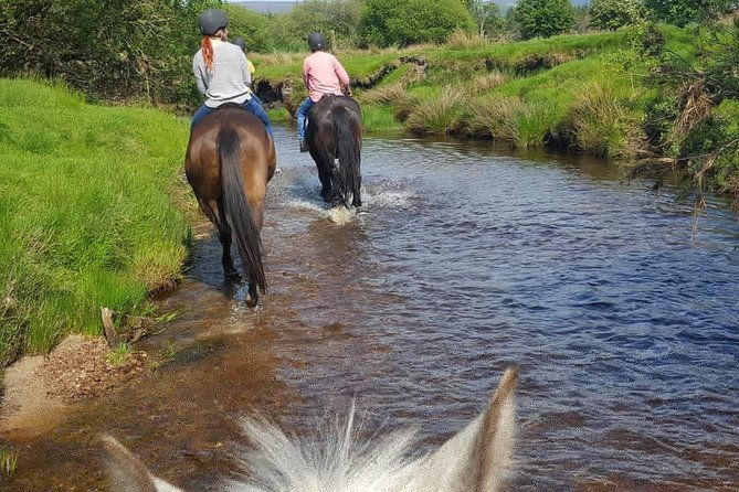 wicklow-mountains-horse-trekking