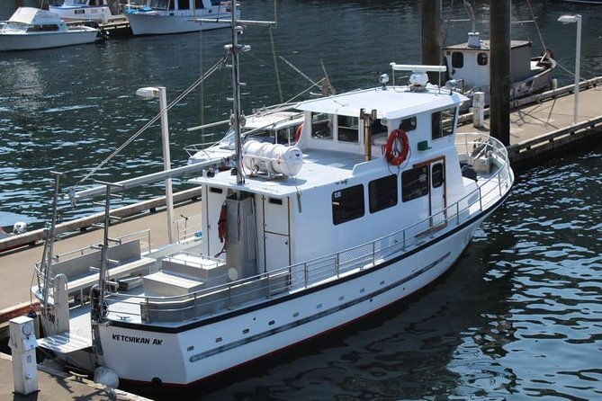 wildlife-viewing-and-whale-watching-quest