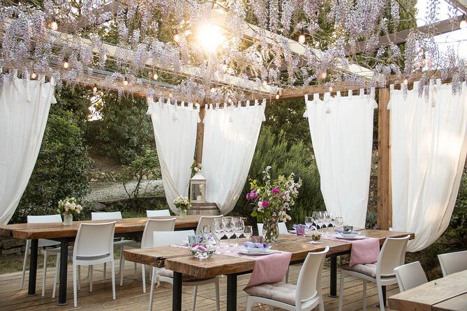 wine-and-food-tasting-in-an-organic-family-winery