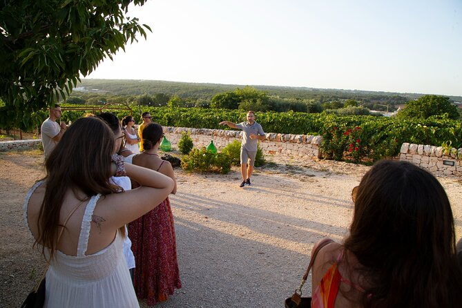 wine-experience-vineyard-wines-and-food
