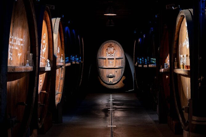 wine-tasting-and-immersive-cellar-tour