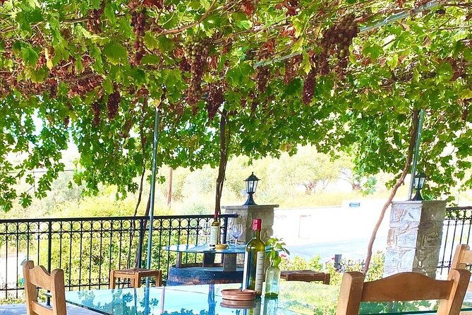 wine-tasting-and-winery-tour-in-lemona-village-paphos