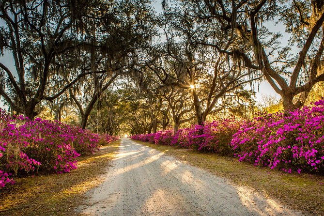 wormsloe-historic-site-bonaventure-cemetery-tour-from-savannah